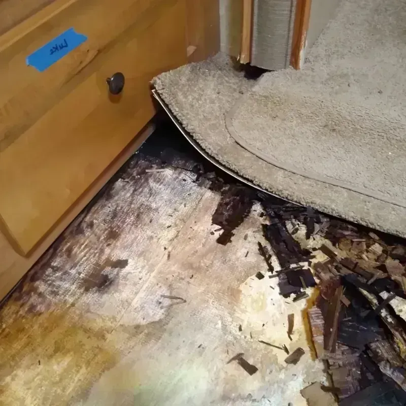 Wood Floor Water Damage in Little Falls, NY